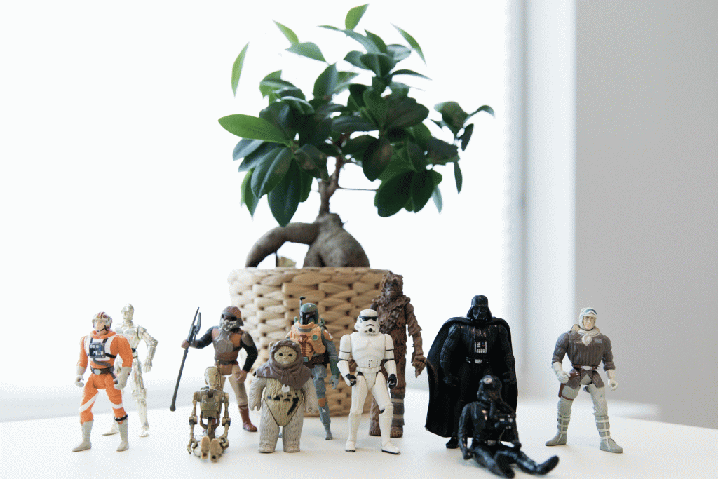 Star-Wars-Sammelfiguren vor einem Bonsai in der Praxis PhysioVital
